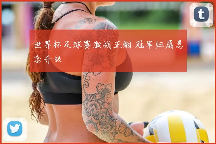 世界杯足球赛激战正酣 冠军归属悬念升级