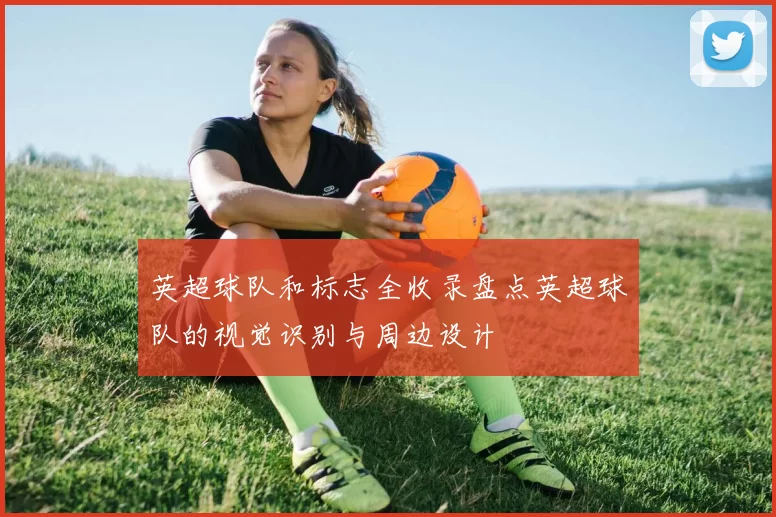 英超球队和标志全收录盘点英超球队的视觉识别与周边设计