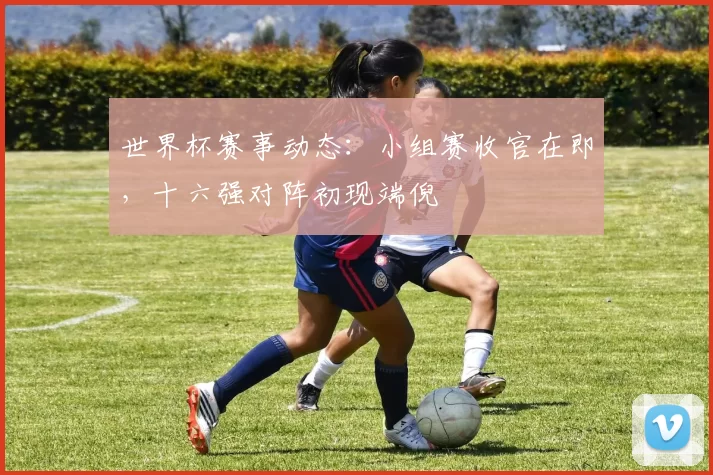 世界杯赛事动态:小组赛收官在即,十六强对阵初现端倪