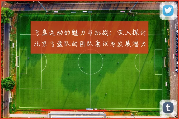 飞盘运动的魅力与挑战：深入探讨北京飞盘队的团队意识与发展潜力