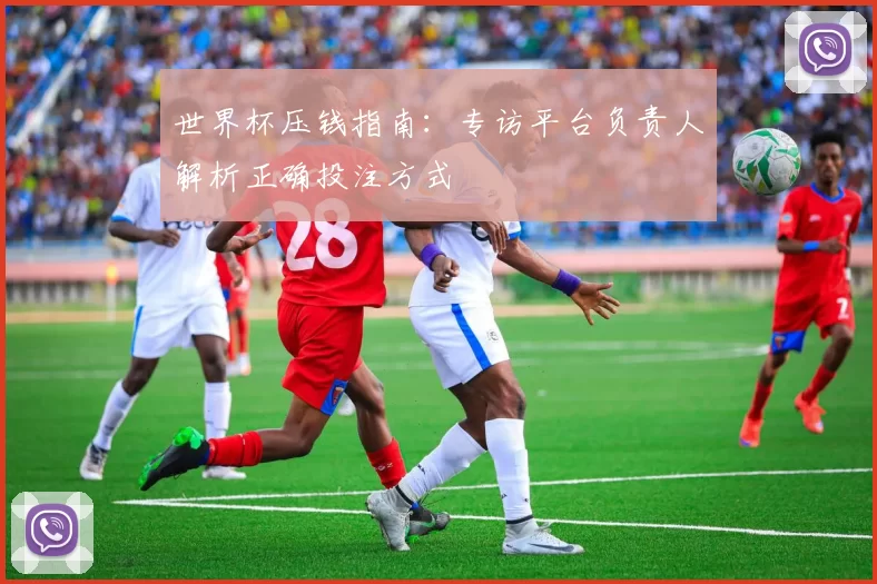 世界杯压钱指南：专访平台负责人解析正确投注方式
