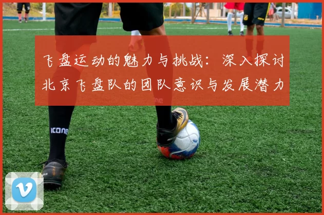 飞盘运动的魅力与挑战：深入探讨北京飞盘队的团队意识与发展潜力