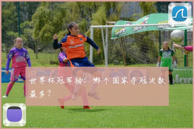 世界杯冠军榜:哪个国家夺冠次数最多?