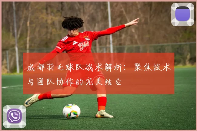成都羽毛球队战术解析:聚焦技术与团队协作的完美结合