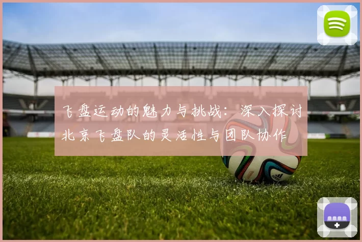 飞盘运动的魅力与挑战：深入探讨北京飞盘队的灵活性与团队协作