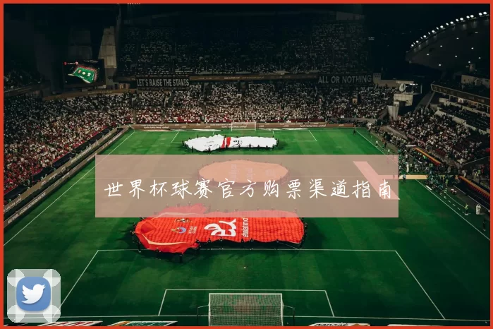 世界杯球赛官方购票渠道指南