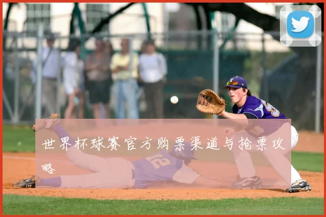 世界杯球赛官方购票渠道与抢票攻略
