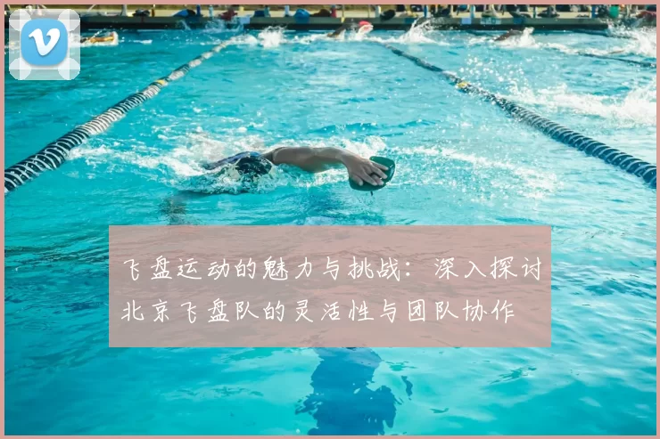 飞盘运动的魅力与挑战：深入探讨北京飞盘队的灵活性与团队协作