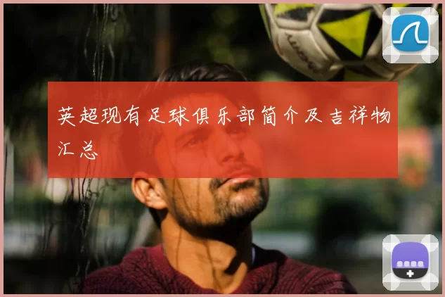 英超现有足球俱乐部简介及吉祥物汇总