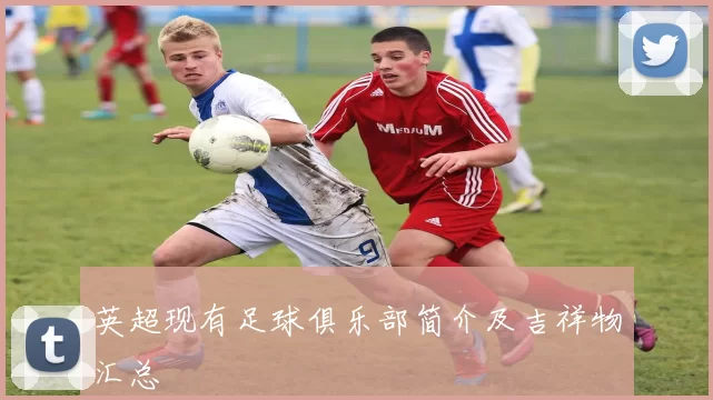 英超现有足球俱乐部简介及吉祥物汇总