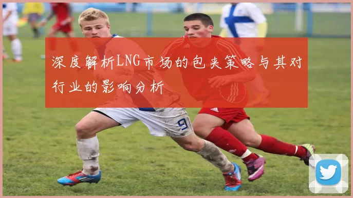 深度解析LNG市场的包夹策略与其对行业的影响分析