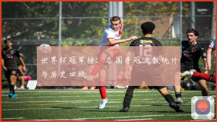 世界杯冠军榜：各国夺冠次数统计与历史回顾