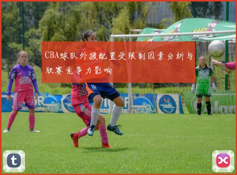 CBA球队外援配置受限制因素分析与联赛竞争力影响