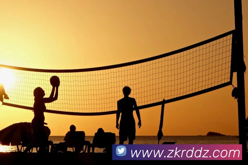 App Interface Preview